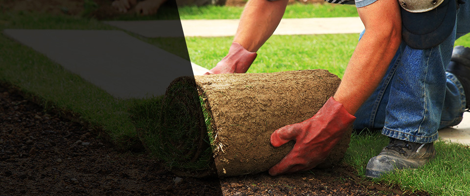 Rocky Hill Landscapers